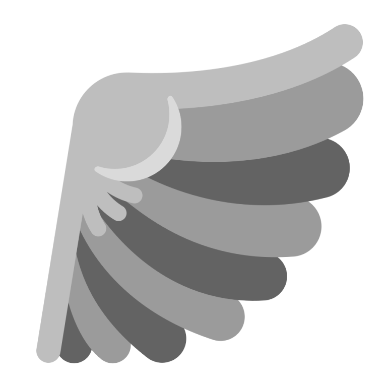 a gray wing on a white background
