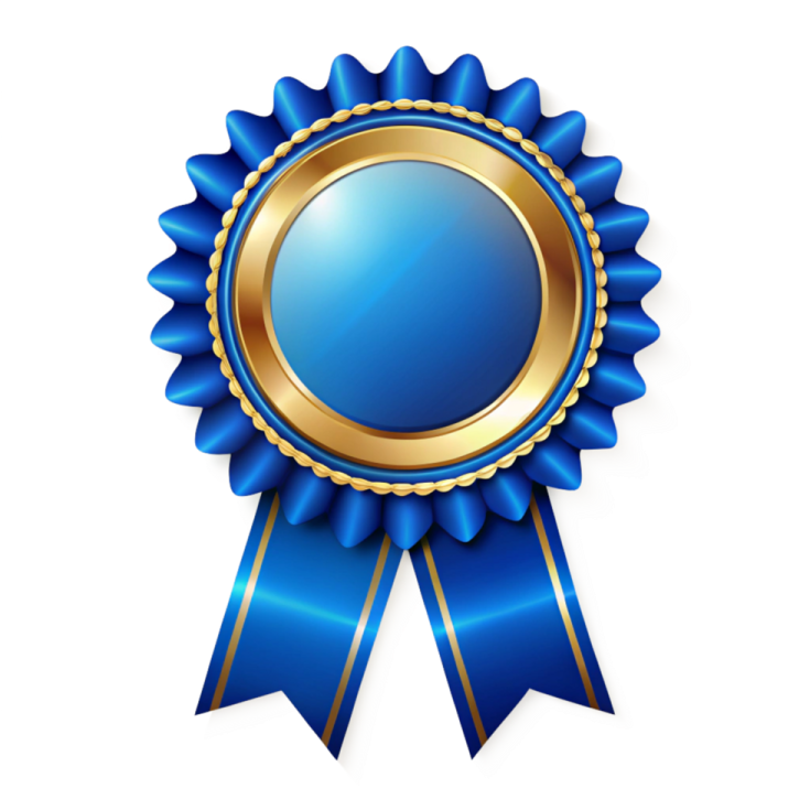 a blue ribbon with a gold medal on it