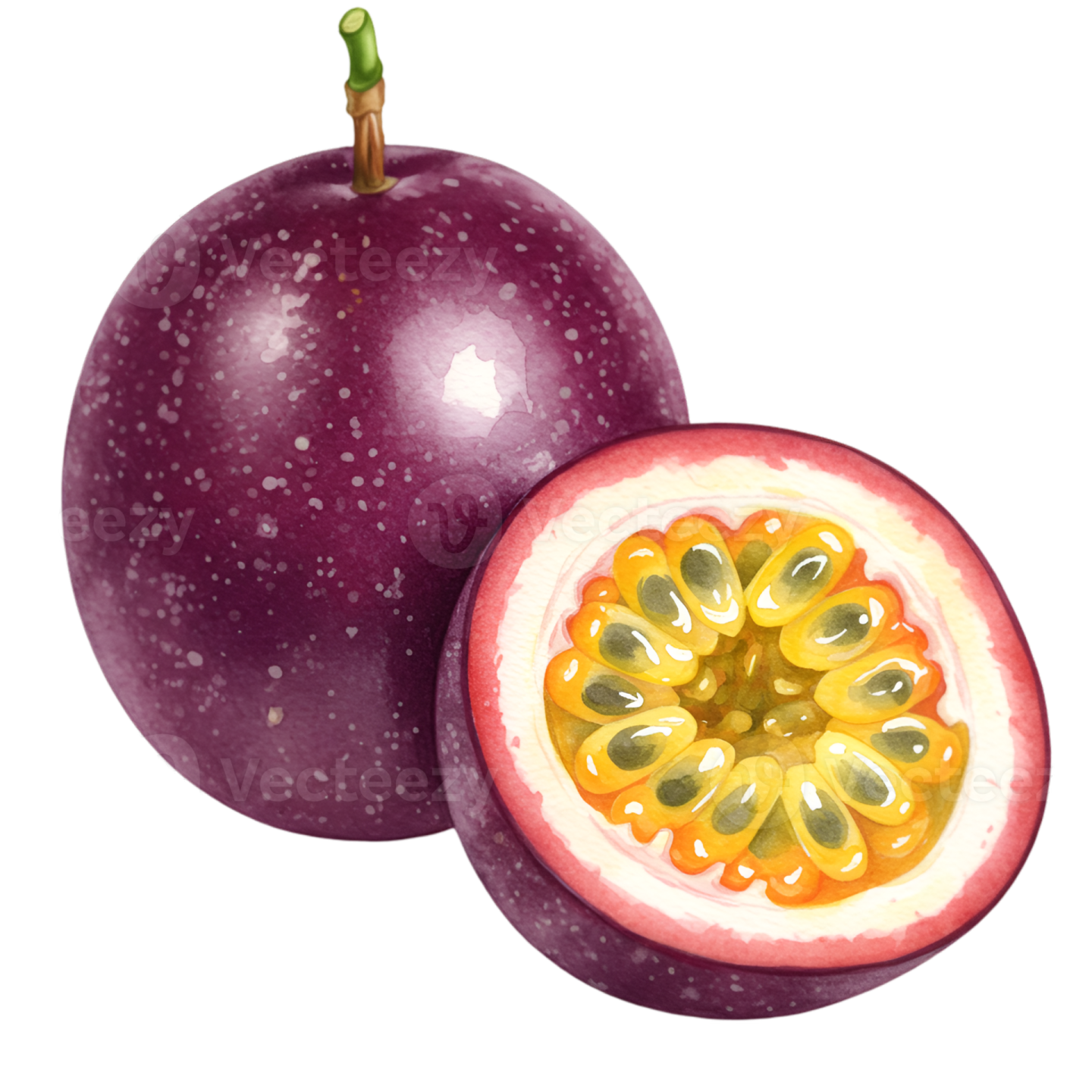 an illustration of a passion fruit