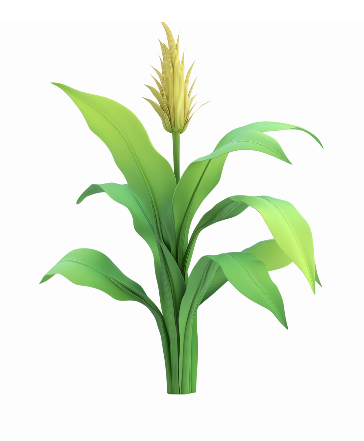 a plant with green leaves on it