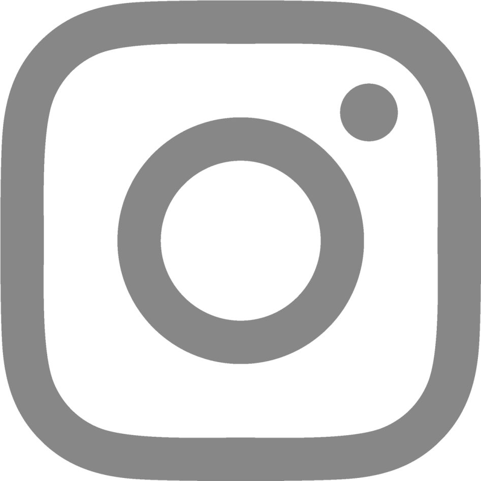 a grey and white photo of an ins ins logo