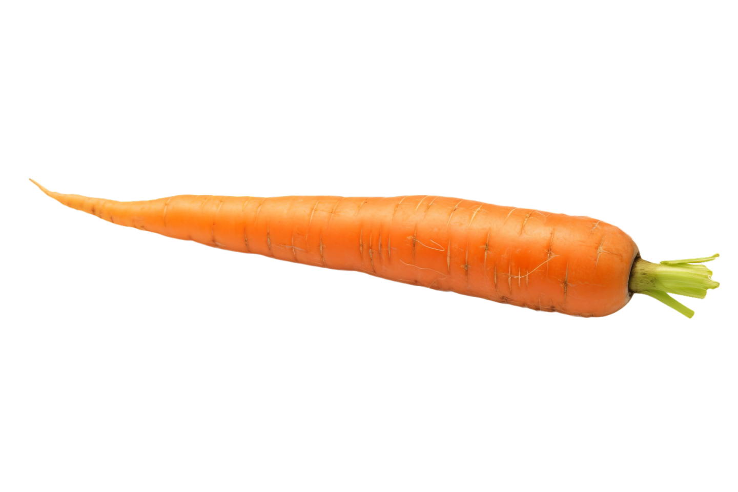 a single carrot on a white background