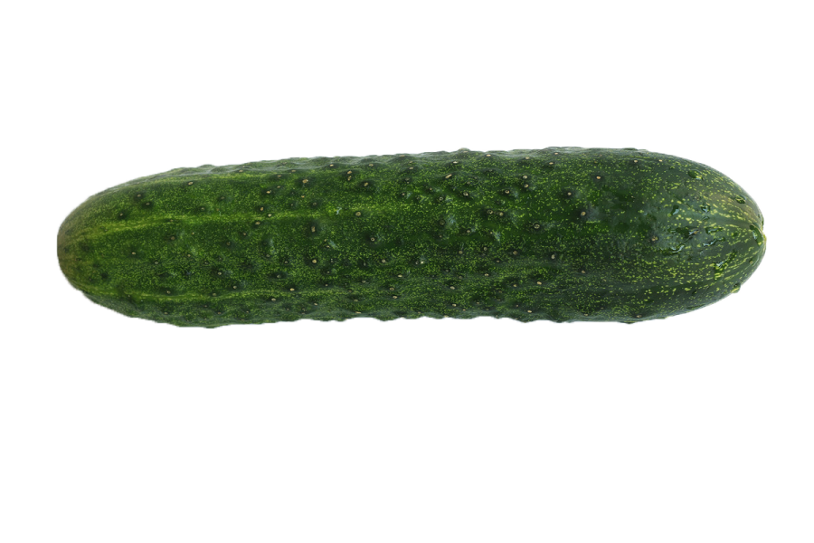 a pickle on a white background