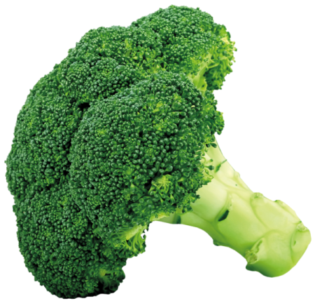 a close up of a piece of broccole
