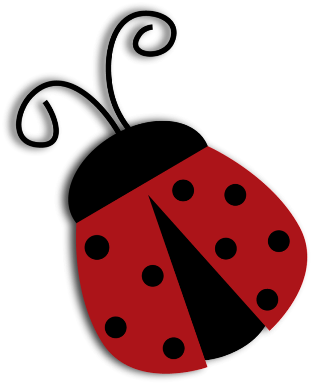 a lady bug with black spots on its back