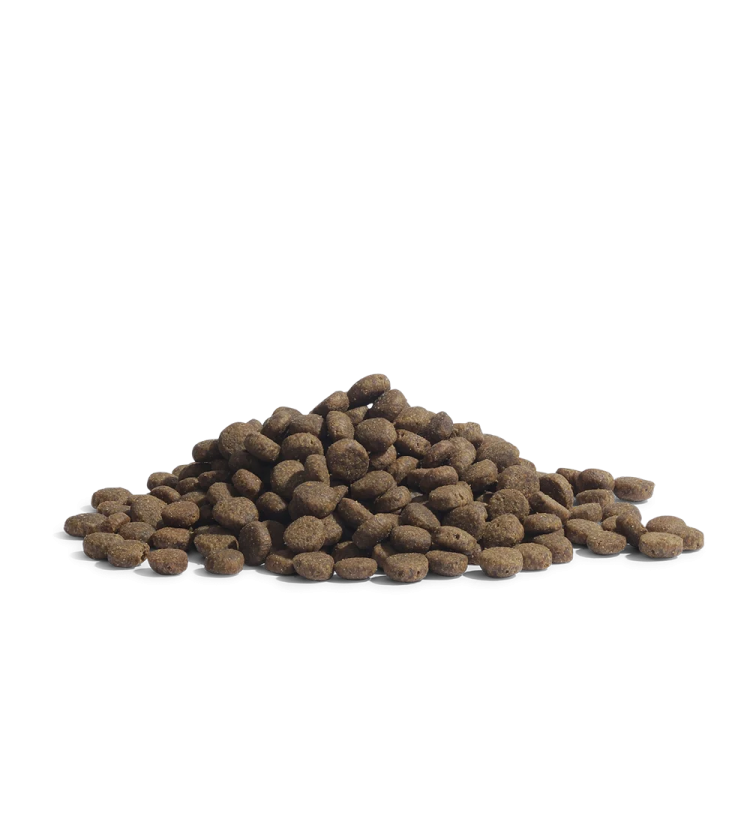 a pile of dog food on a white background