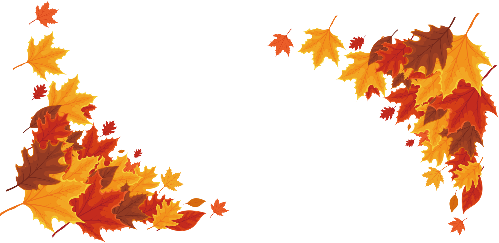 an image of a bunch of autumn leaves
