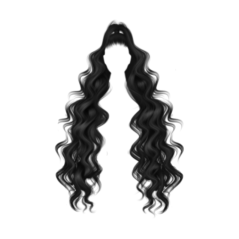 a drawing of a woman's hair
