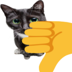 a cat that is pointing at the camera