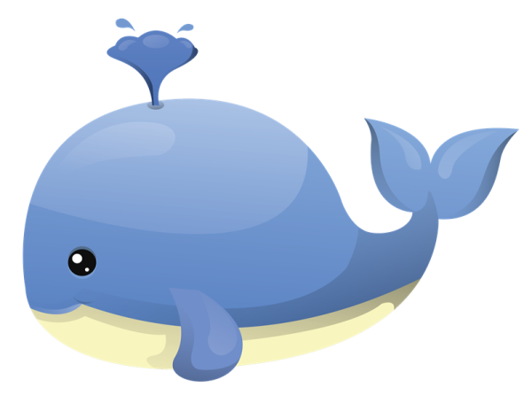 a blue whale with a white background