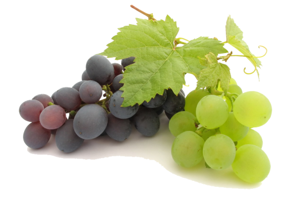 a bunch of grapes and some green leaves