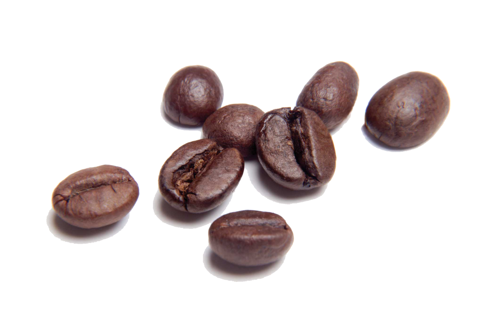 coffee beans on a white background