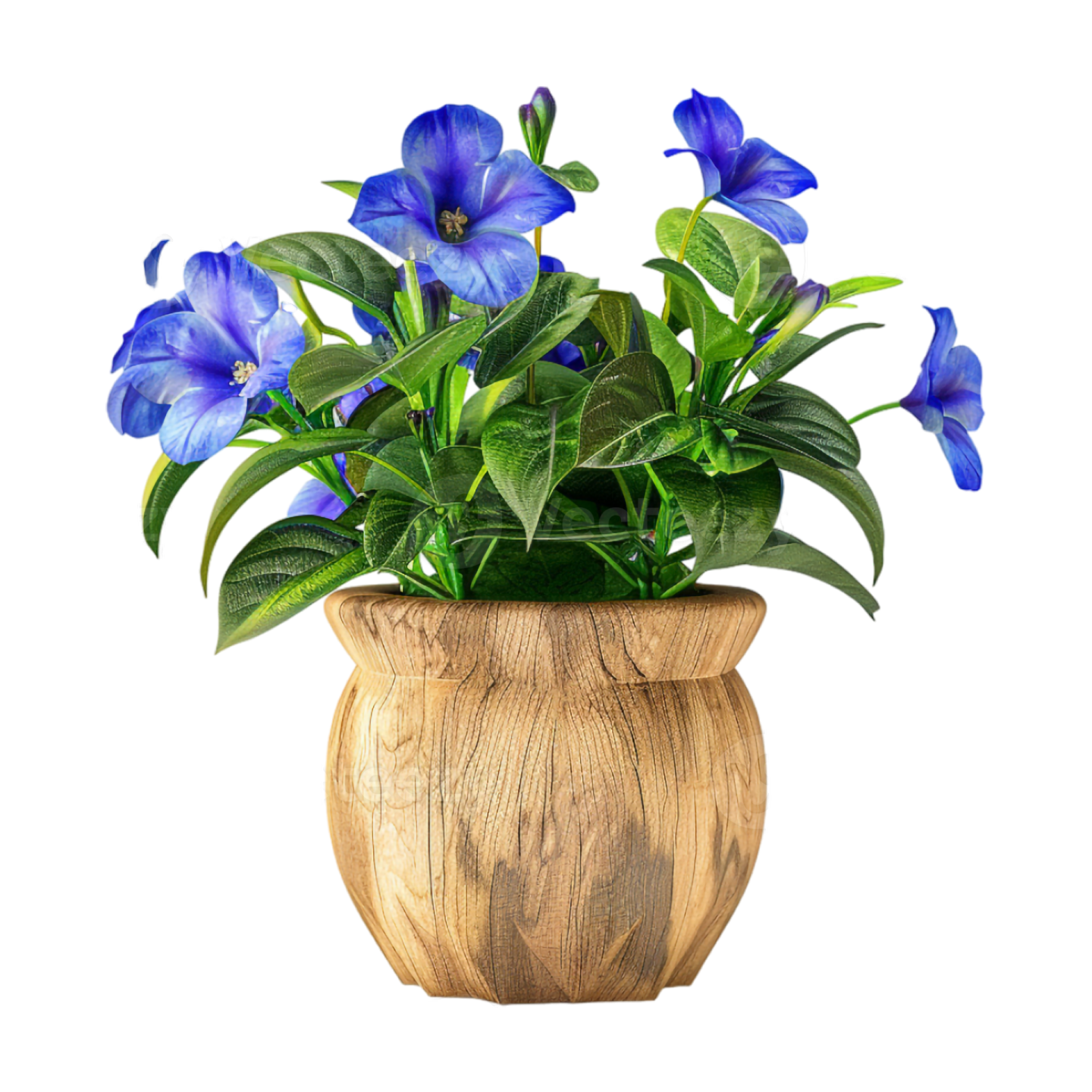 a blue flower in a wooden pot