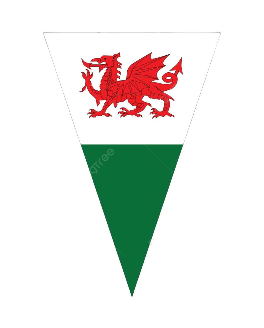 the flag of wales