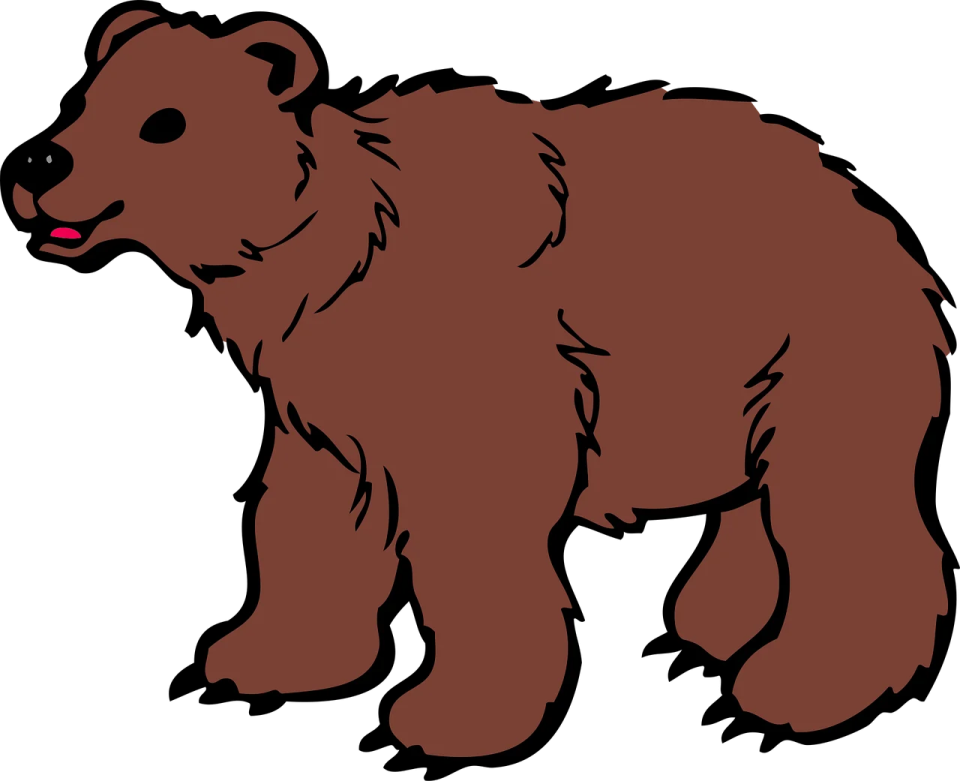 a brown bear on a white background