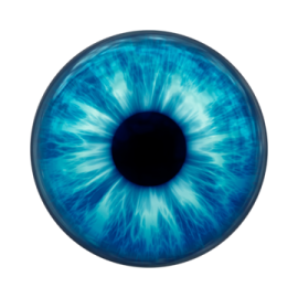 an image of a blue eye