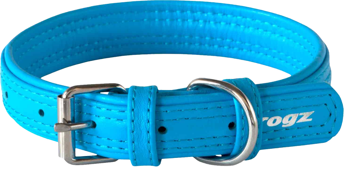 a blue leather dog collar with a metal buckle