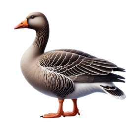 a duck standing on top of a white surface