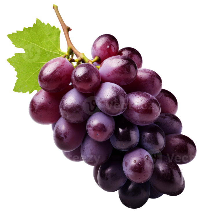 a bunch of grapes on a white background