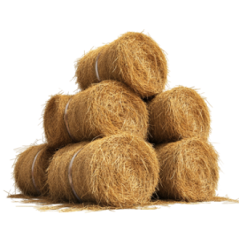 a pile of hay on a white background