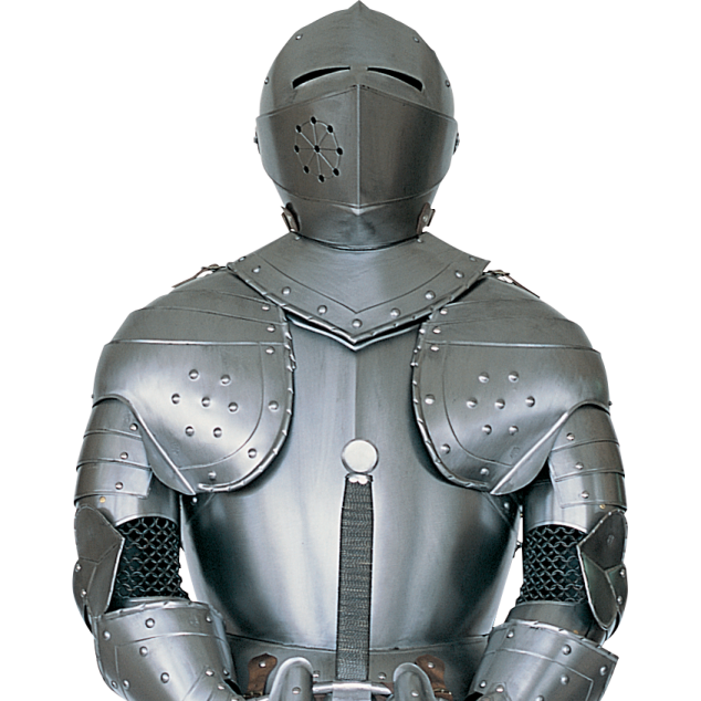a man in a suit of armour holding a sword