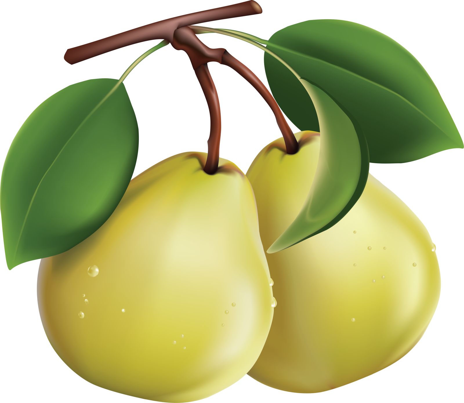 two yellow apples with green leaves on a branch