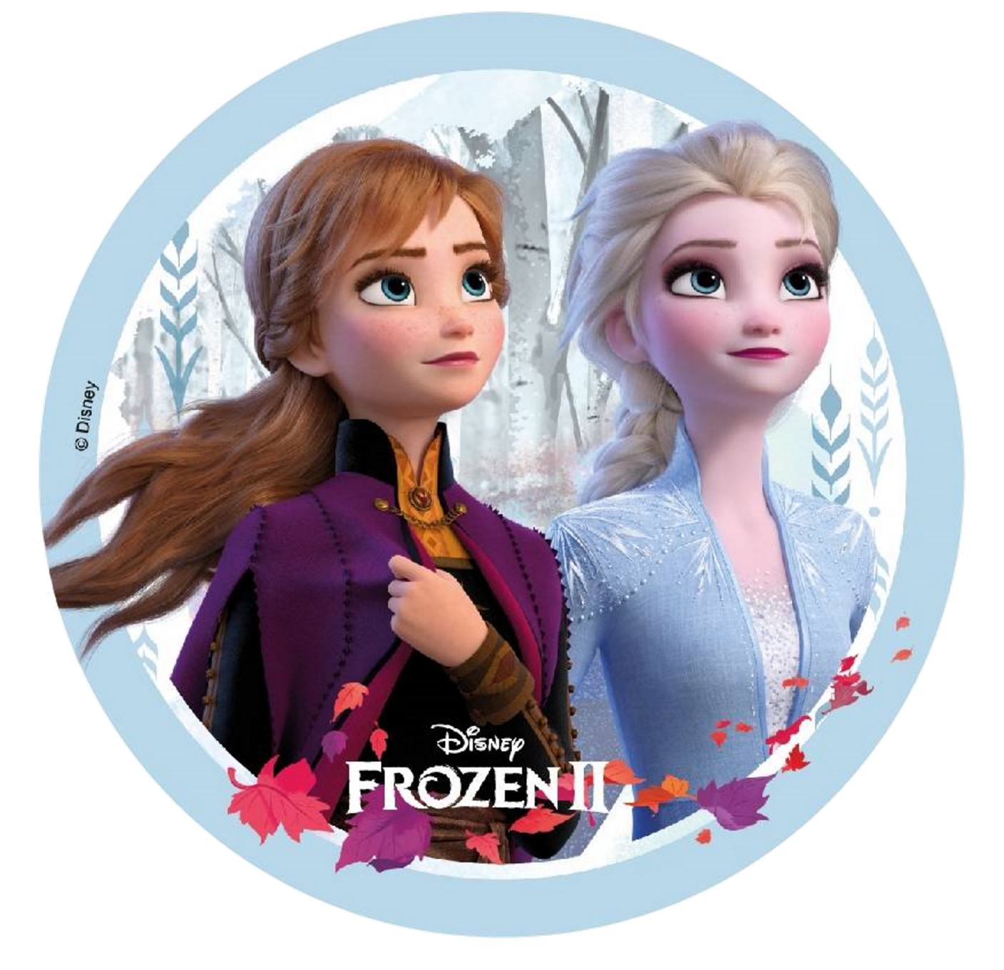 the frozen princess and anna from frozen