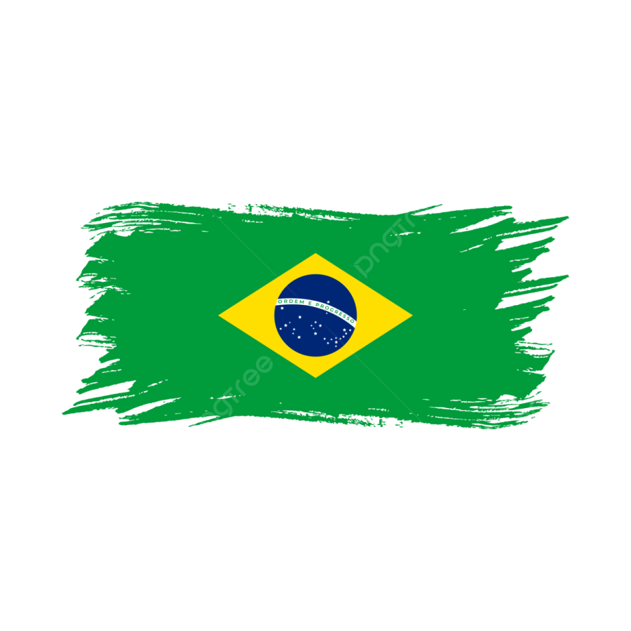 the brazilian flag on a white background