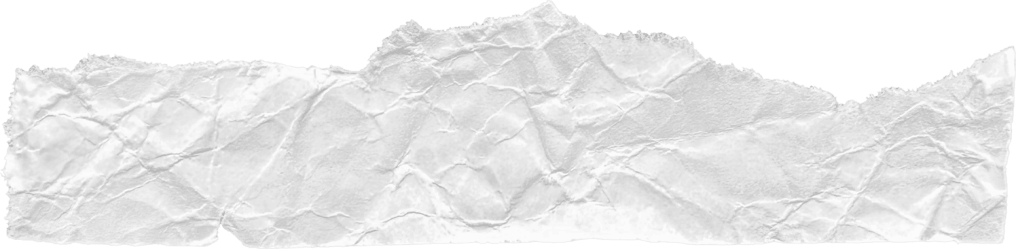 a piece of crumpled paper on a white background