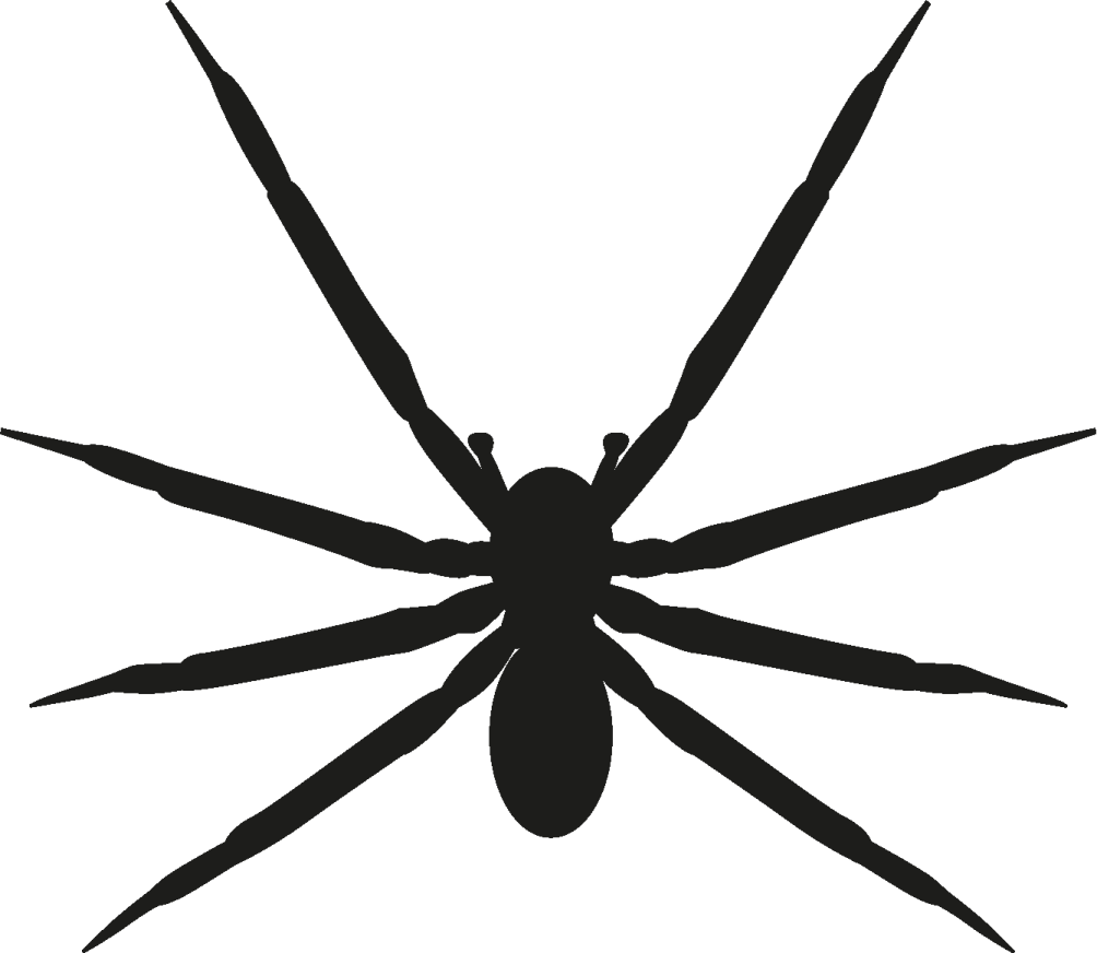 a spider silhouetted on a white background