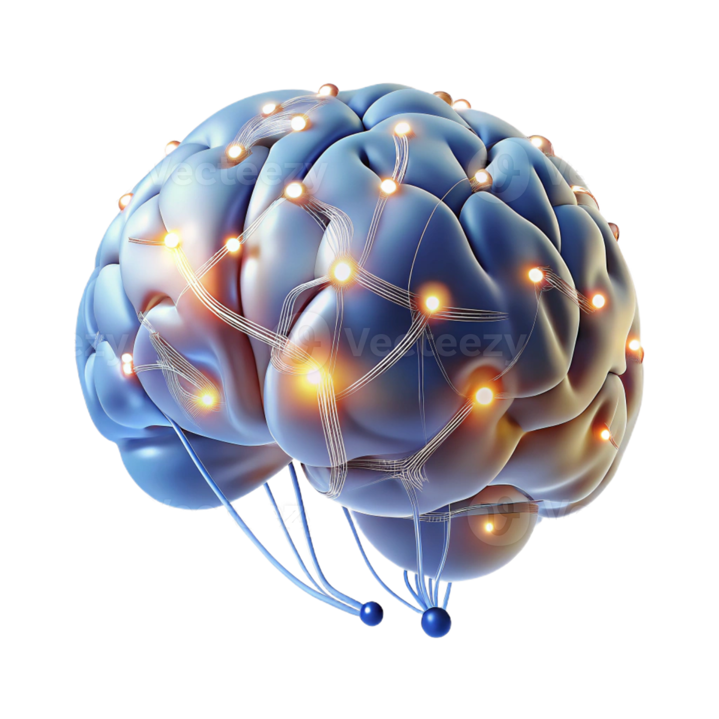 an illustration of a human brain