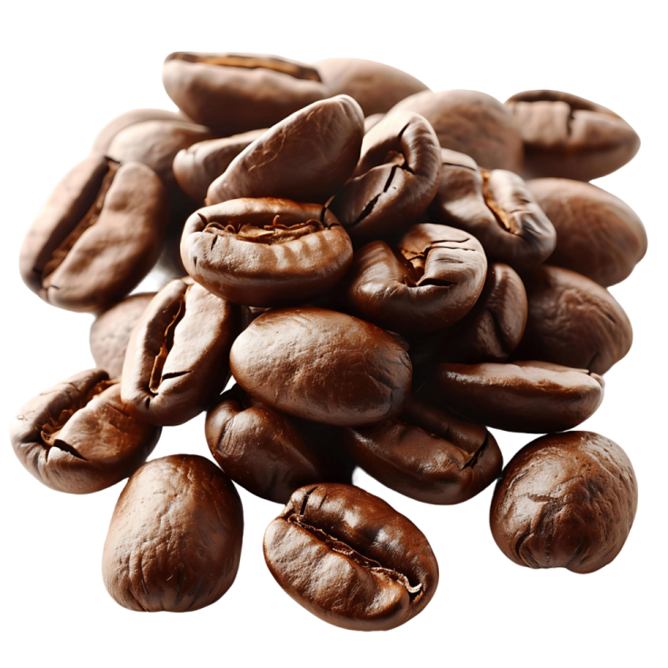coffee beans on a white background