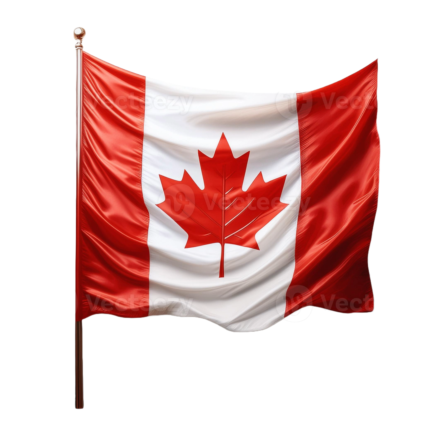 a canadian flag flying in the wind