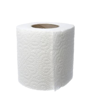 a roll of toilet paper