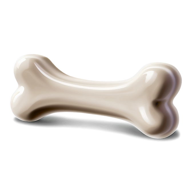 A bone on a white background