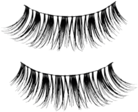 a pair of false false lashes