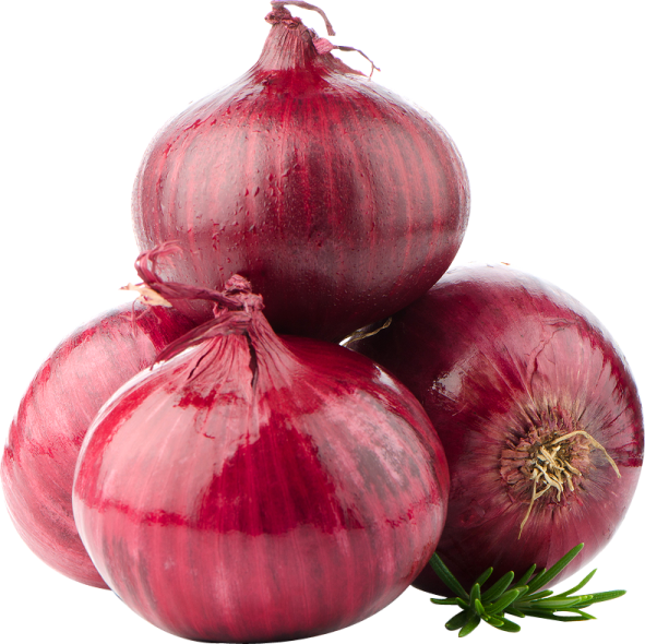 three red onions on a white background