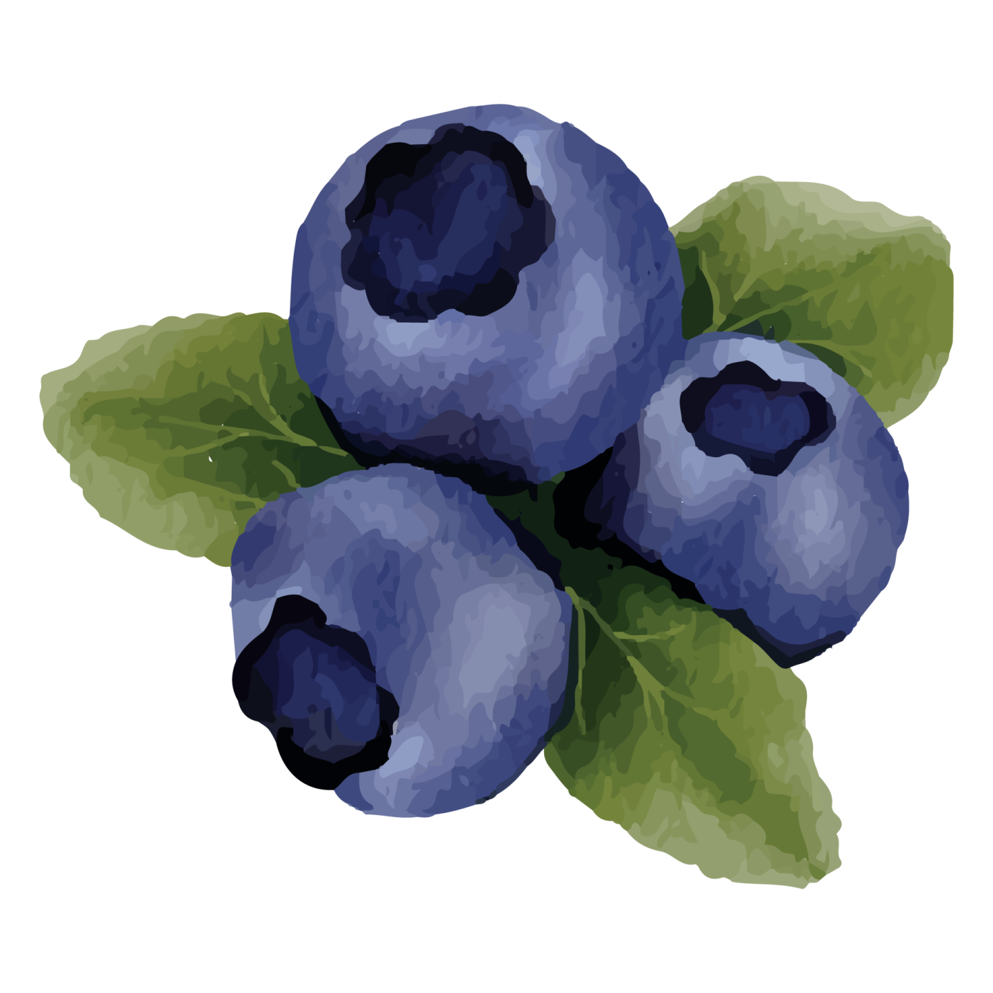 a bunch of blueberries with green leaves