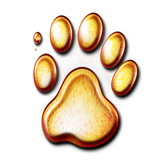 a paw print of an animal's paw