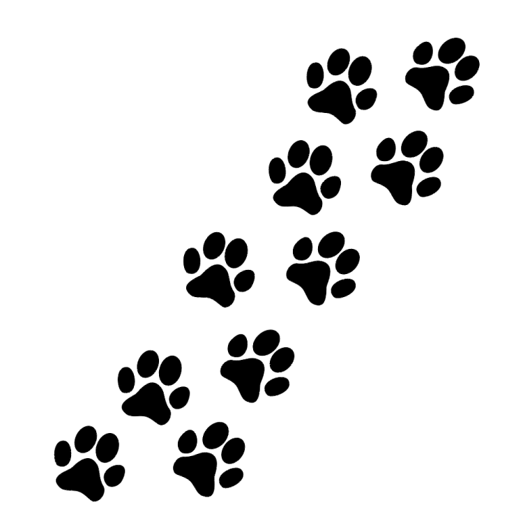 a black and white image of paw prints