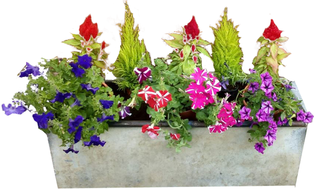 a metal planter filled with colorful flowers