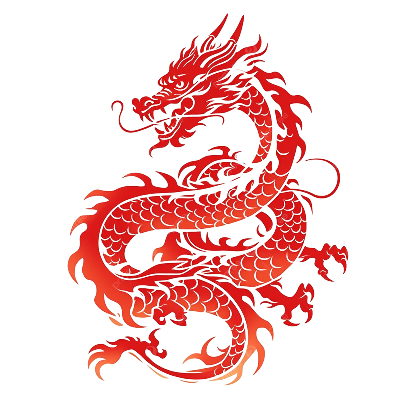 a red dragon tattoo design