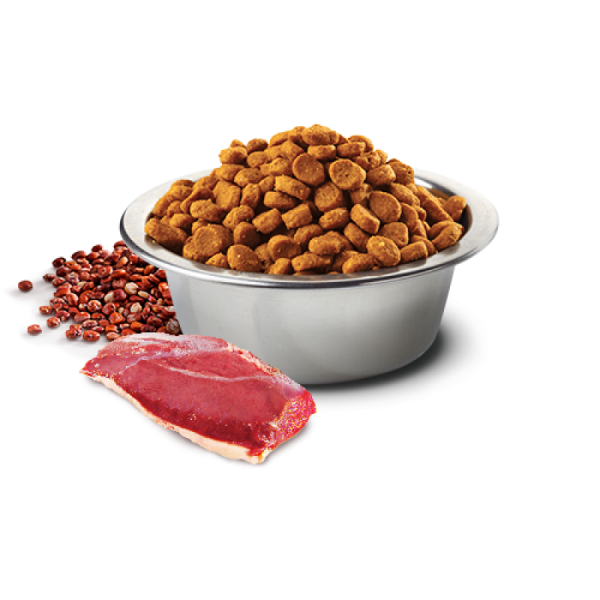 a bowl filled with nuts and meat