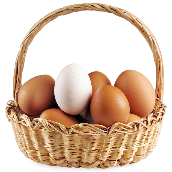 a basket of eggs on a white background