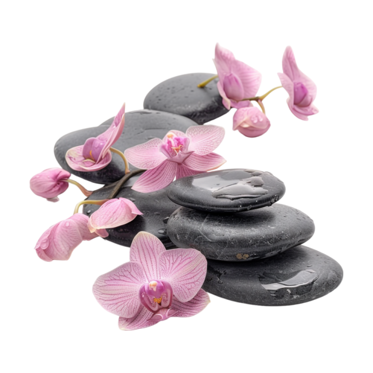 a pile of black stones with pink orchids on top