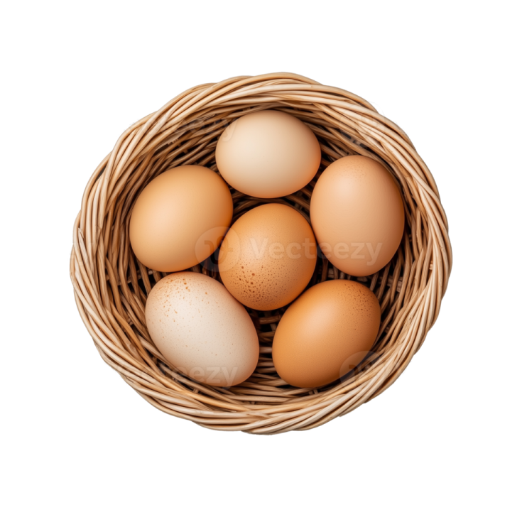 eggs in a basket on white background