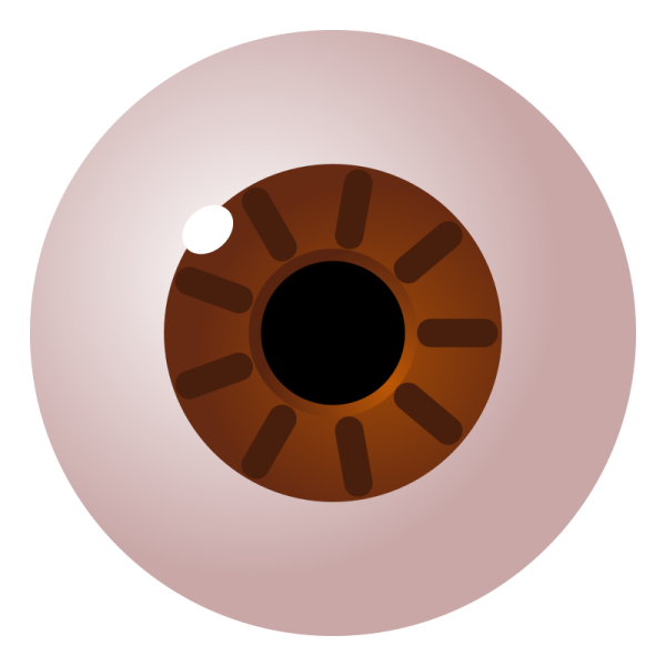an image of a chocolate donut