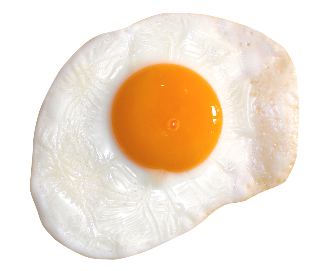 an egg on a white background