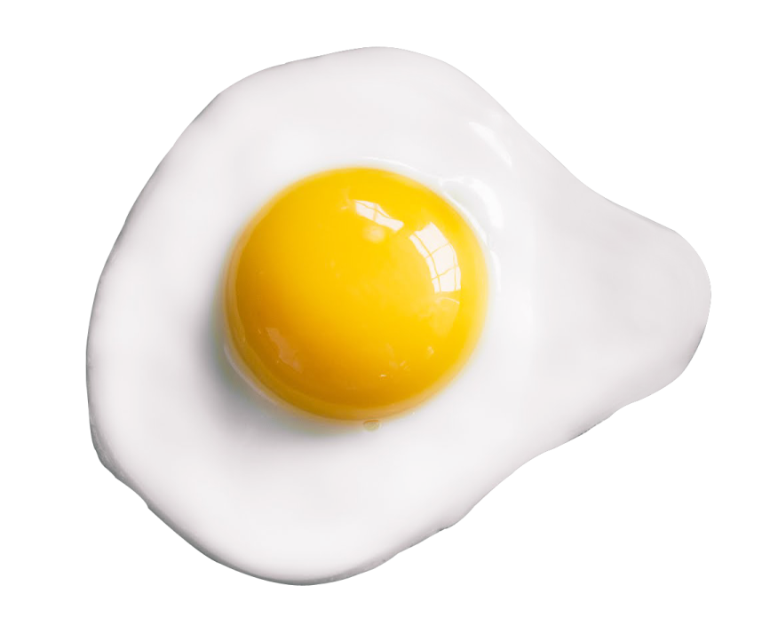 a fried egg on a white background