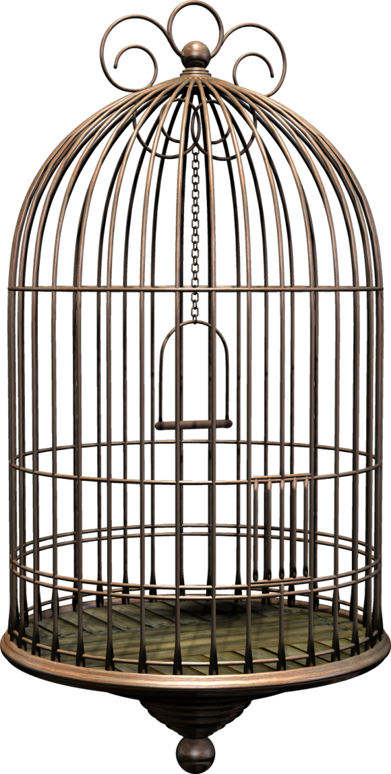 a bird in a cage on a white background